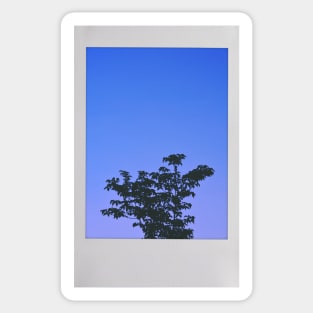 Tree in the Purple Night Sky Instant Photo (Purple People Eater) Sticker